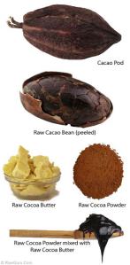 cacaoprocess