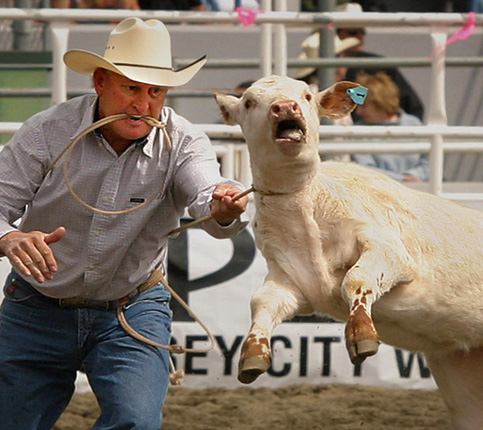 stop the rodeo cruelty
