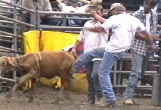 Stop the Rodeo Violence NOW